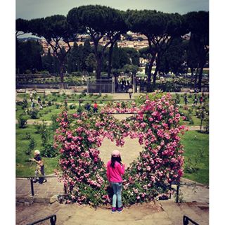 13256590_496941403828560_970569150_n